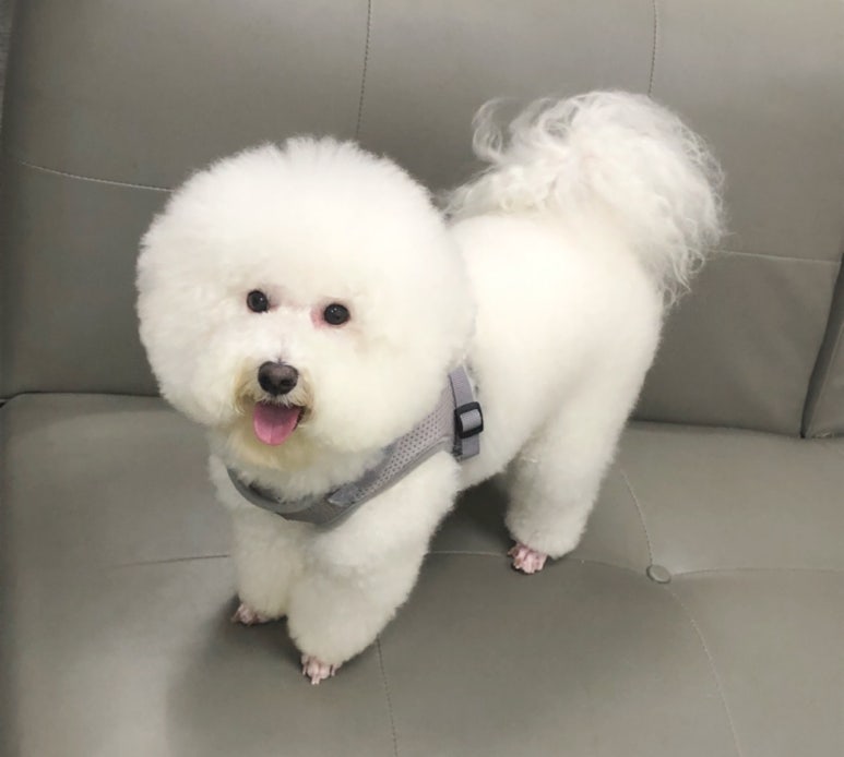 초원샵 이미지