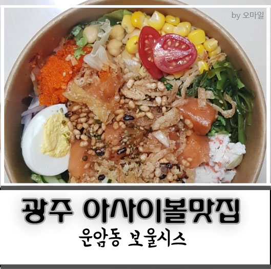 보울시스 이미지