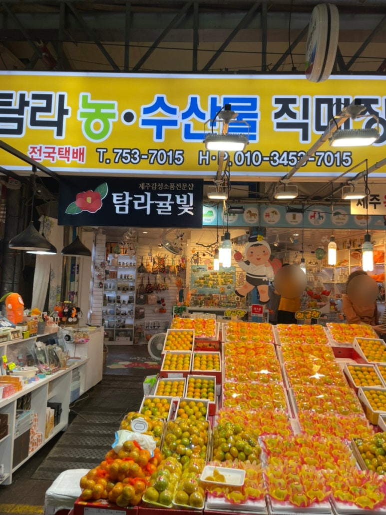 탐라귤빛 이미지