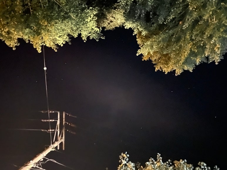 오도산식당 이미지