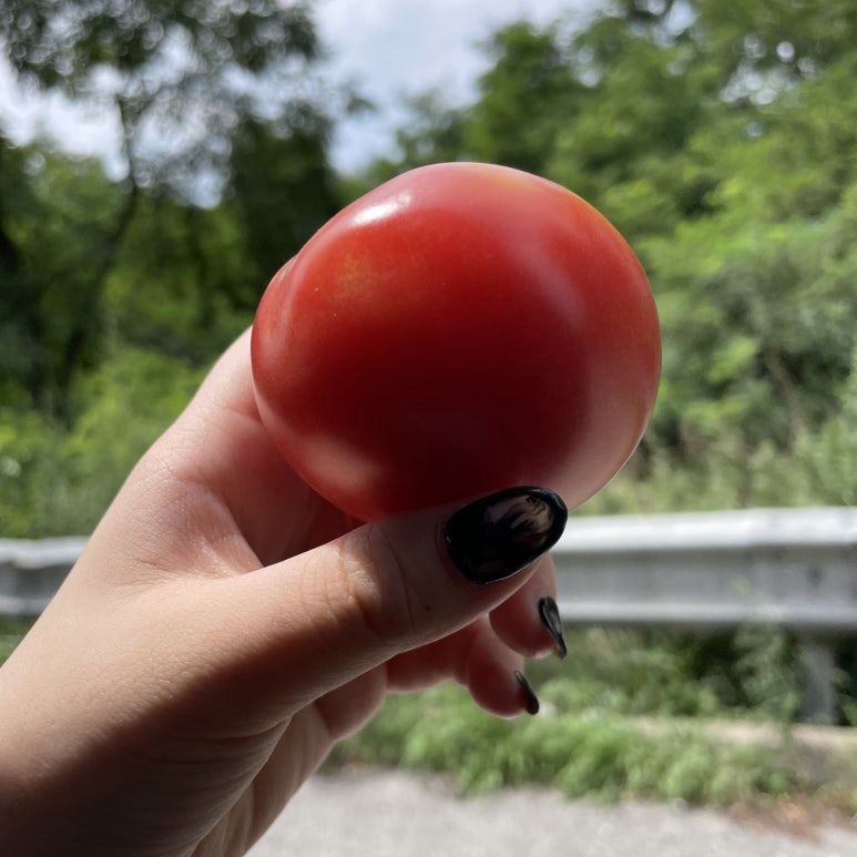 예감쪽갈비(지산점) 이미지