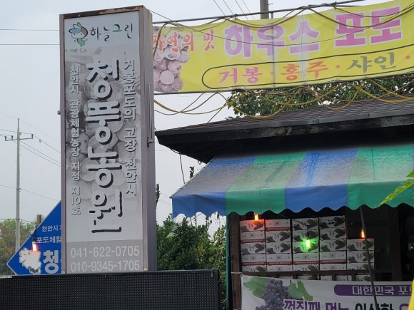 청풍농원 이미지
