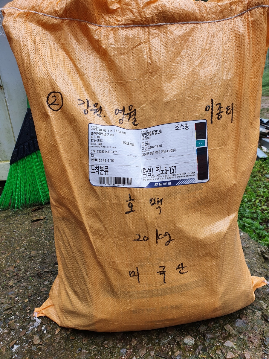 호밀씨 이미지