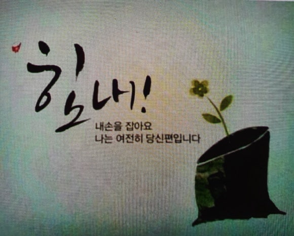 플러스랜드 이미지