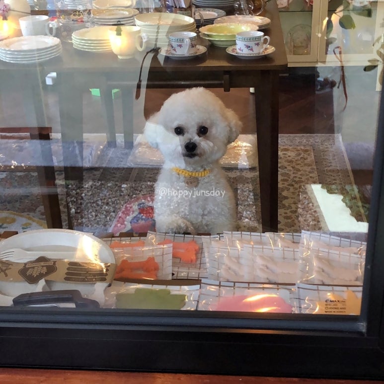 카페이응 이미지