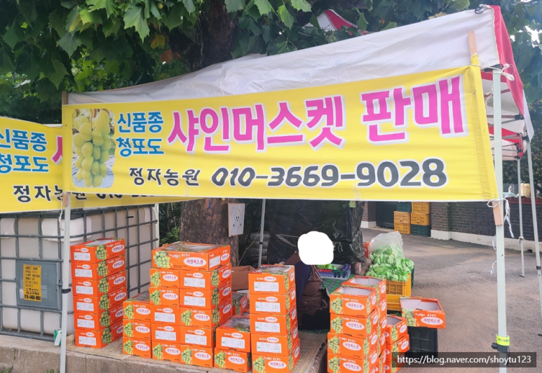 정자농원 이미지