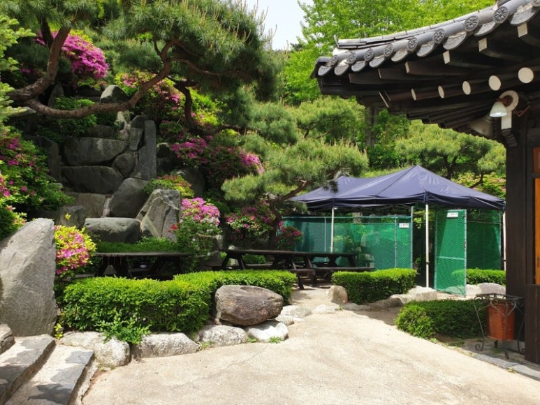 백제장 이미지