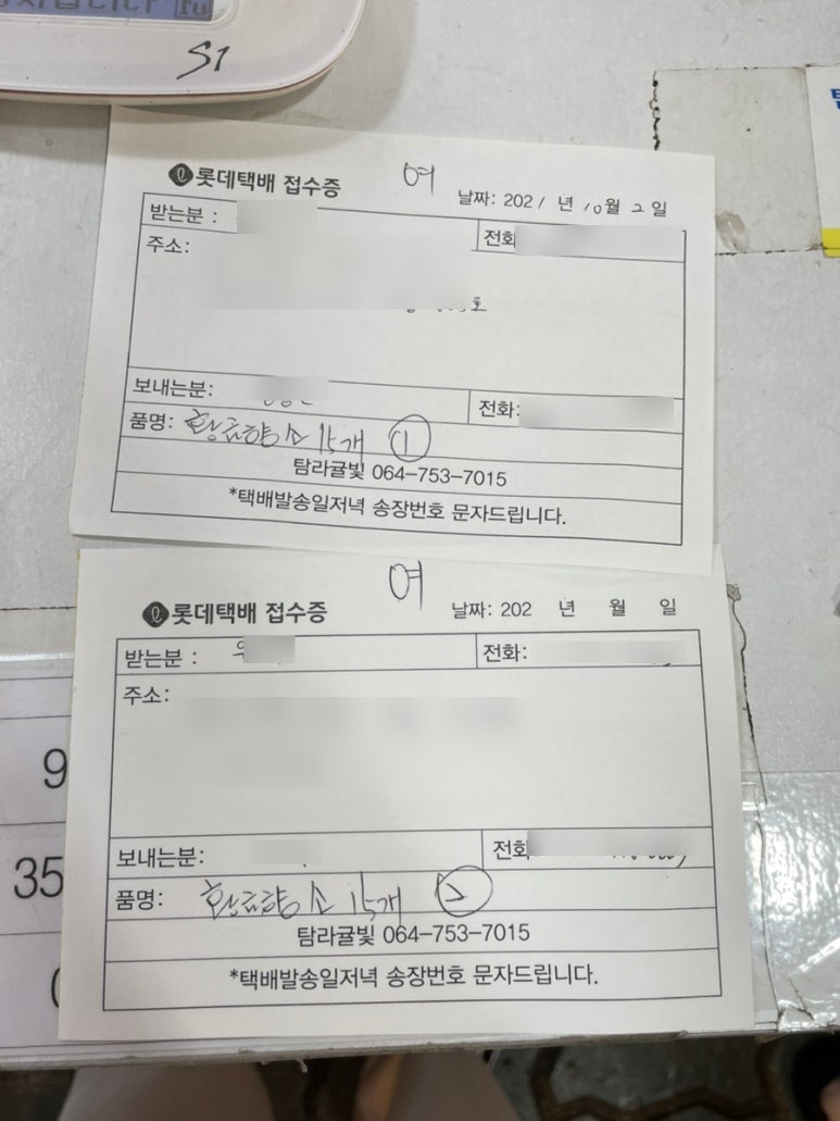 탐라귤빛 이미지