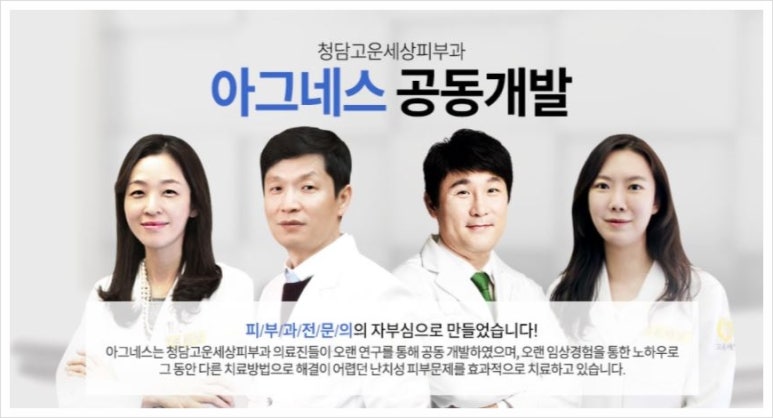 아그네스 이미지