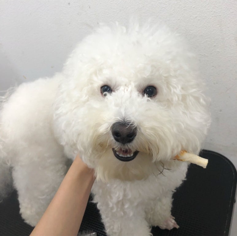 초원샵 이미지