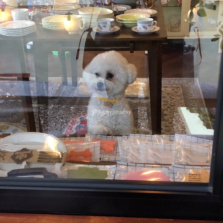 카페이응 이미지