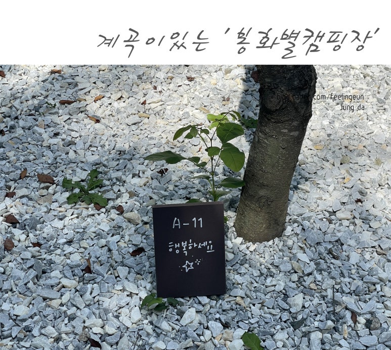 봉화별캠핑장 이미지