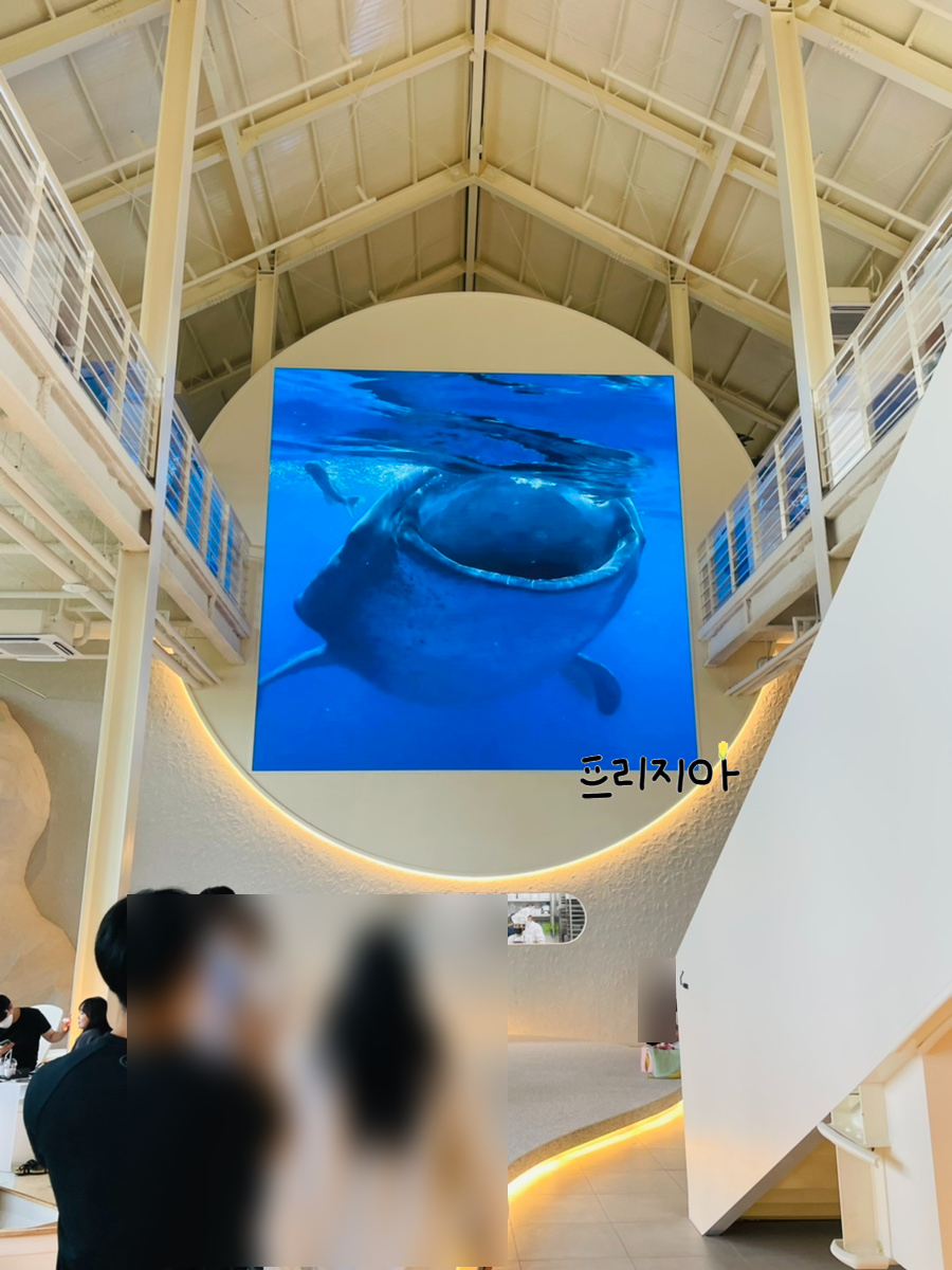 청량수산 이미지