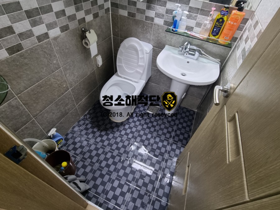 청소해적단 이미지