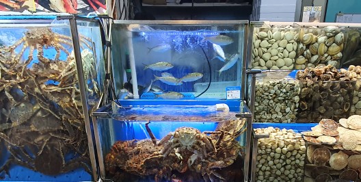 선돌수산 이미지