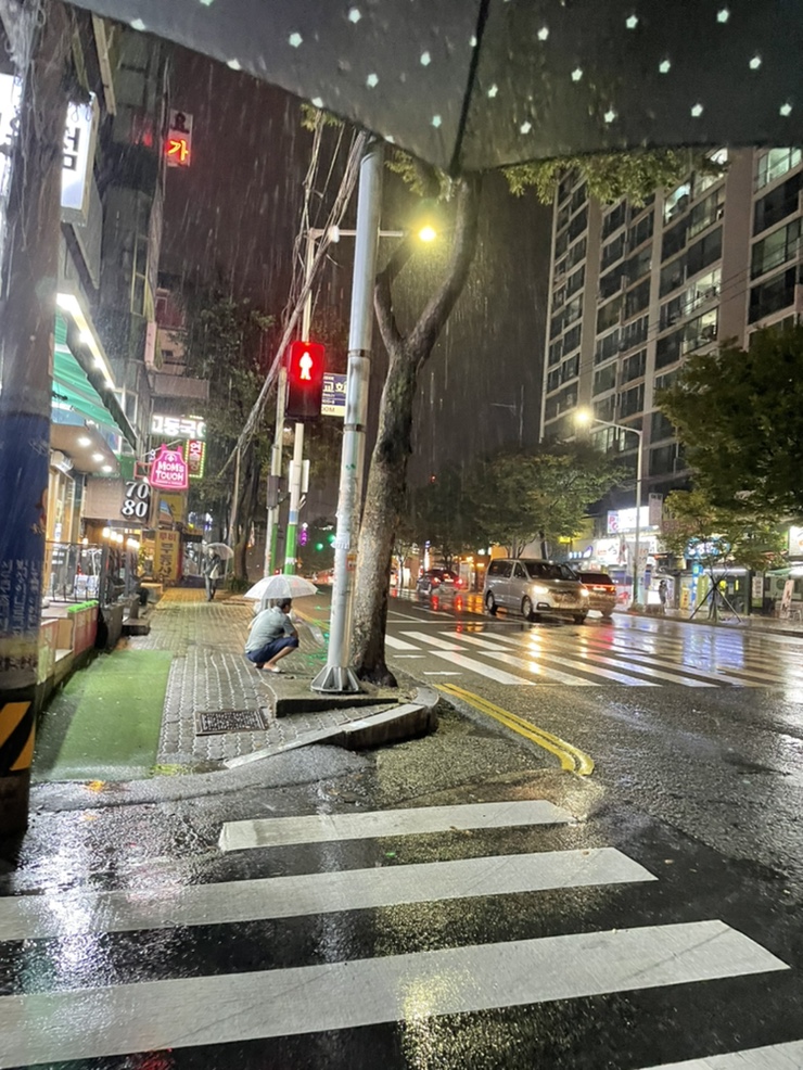 우리동네디씨마트 이미지