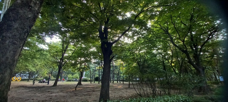 압구정현대서점 이미지