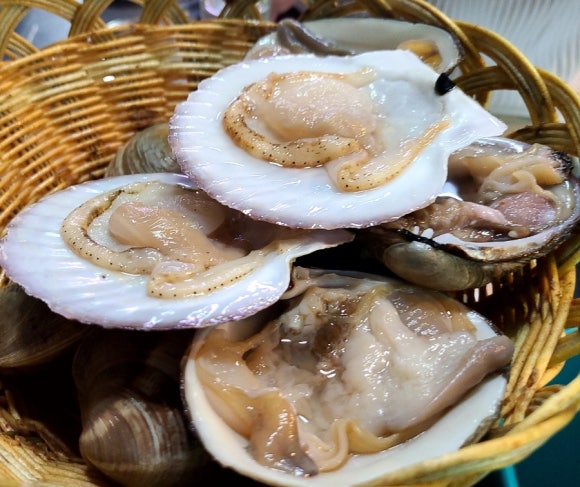 구울래찔래 이미지