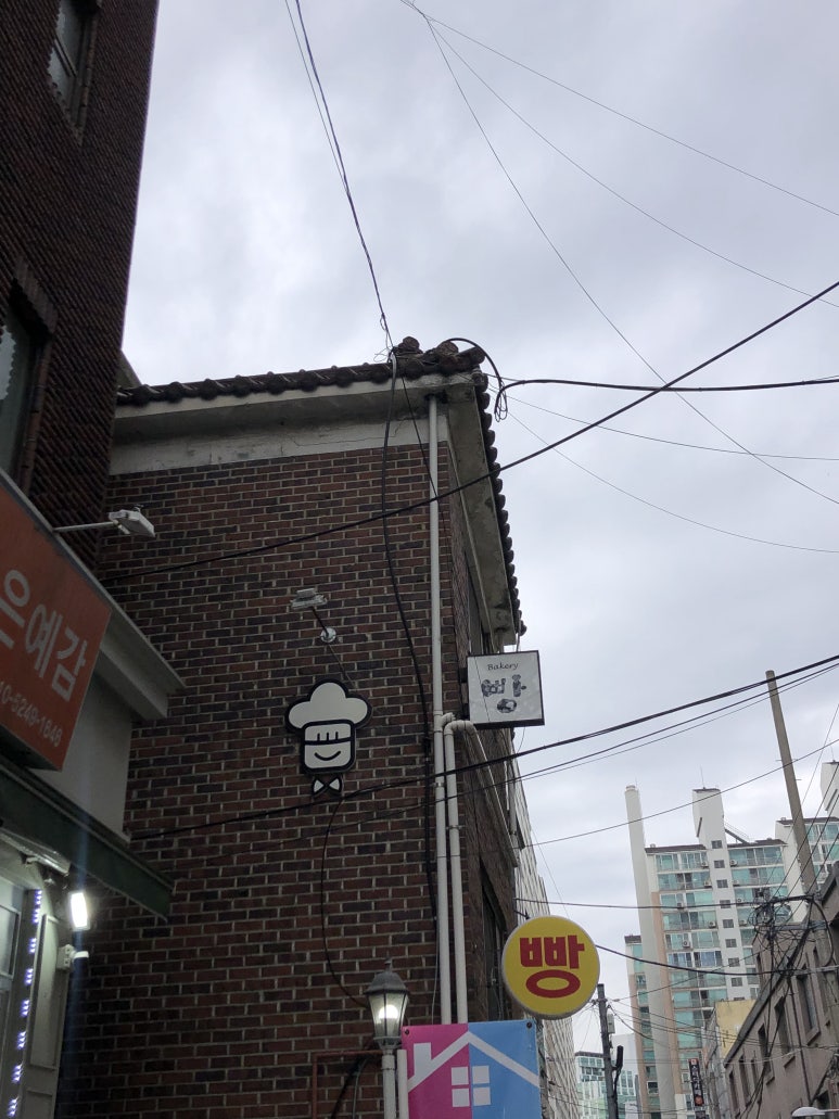 파니피카 이미지