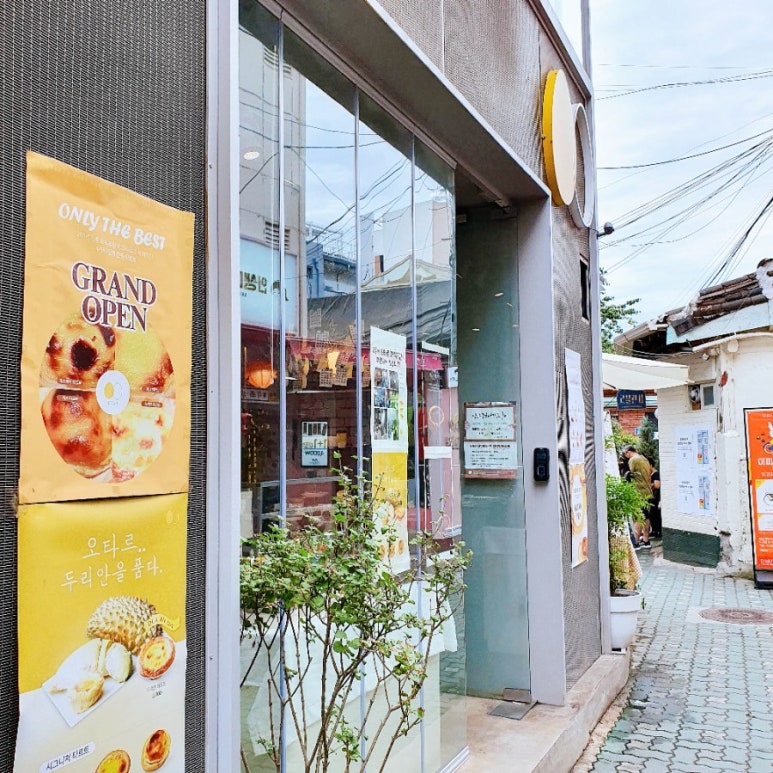 오타르 사진 7