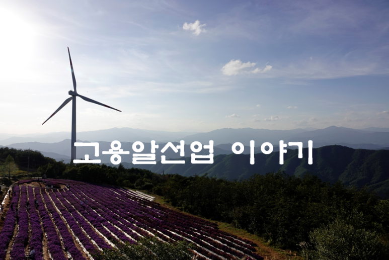 고용 알선업 이미지