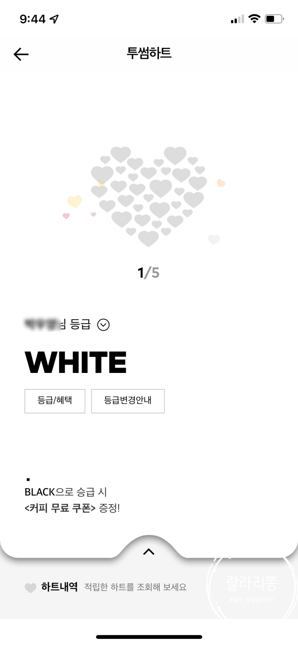 투썸플레이스동해어달 이미지