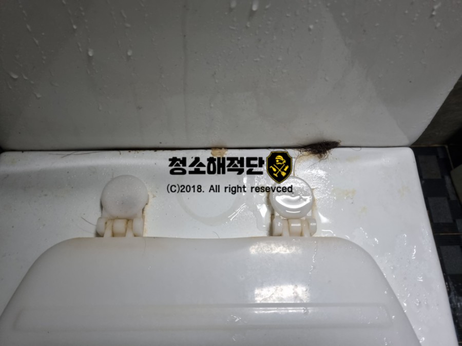 청소해적단 이미지