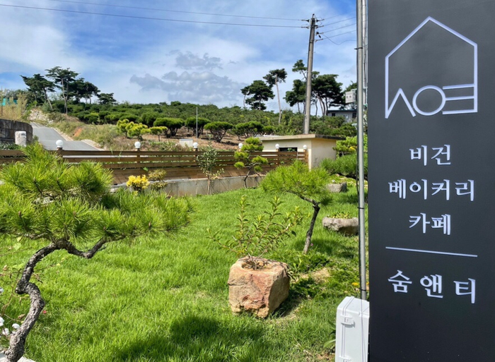 숨앤티 이미지
