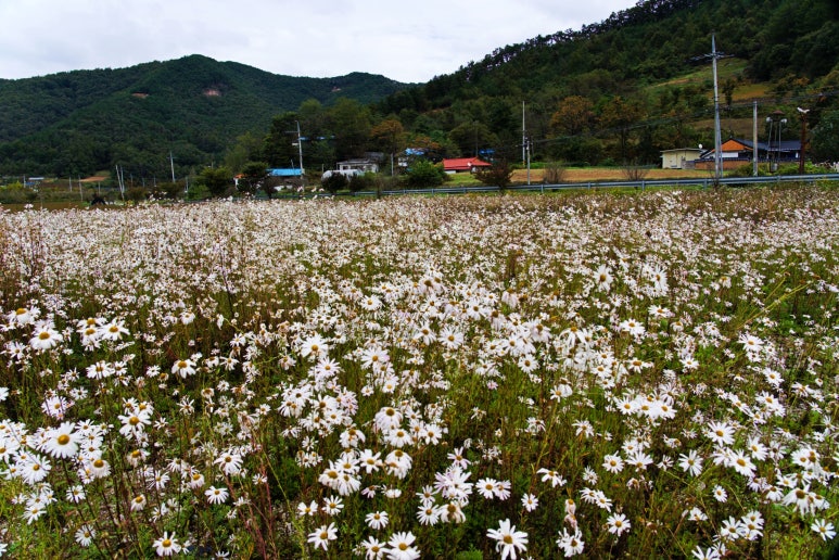 한두레 이미지