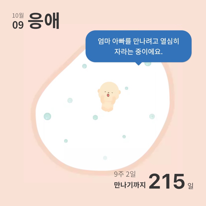 하이베베 이미지