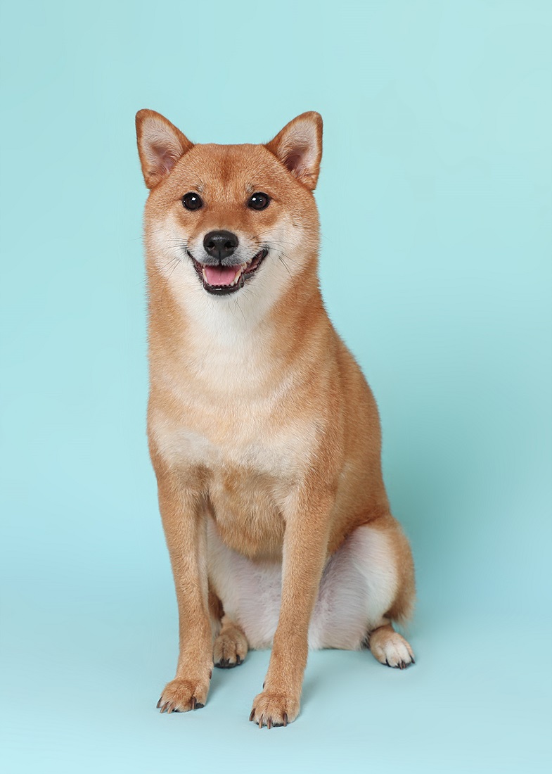 오늘사진관 이미지
