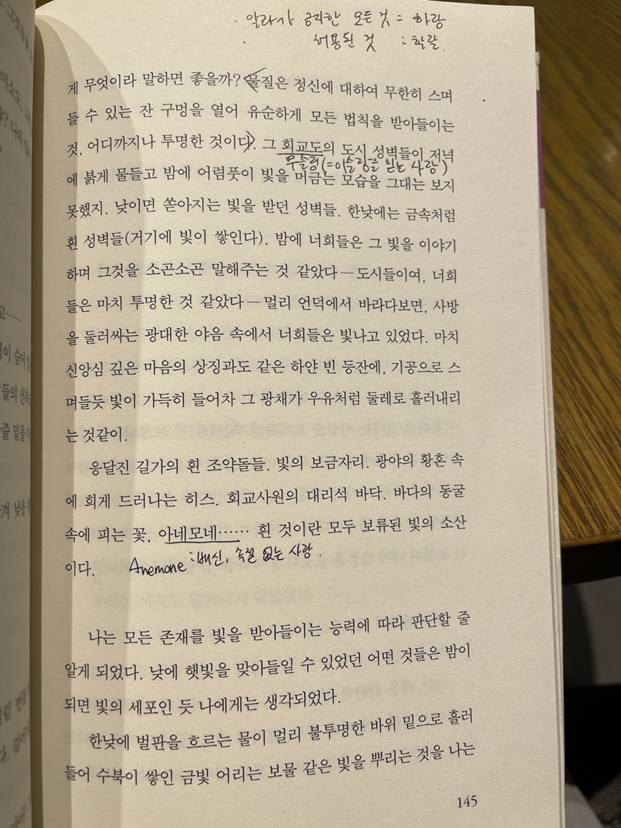 지상의양식 이미지