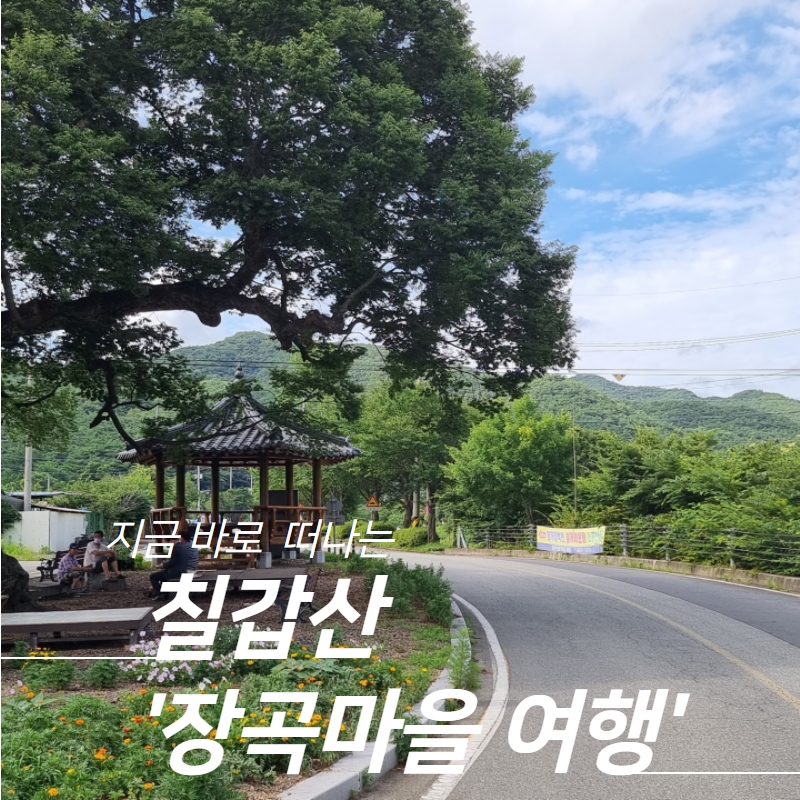 칠갑산장곡마을 이미지