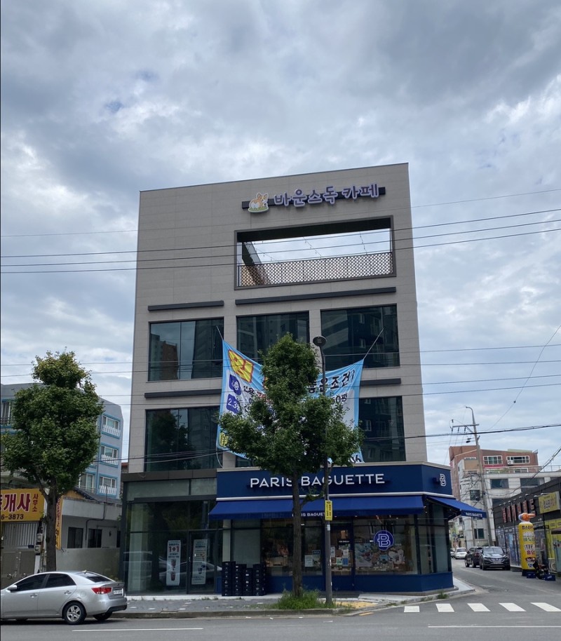 바운스독카페 이미지