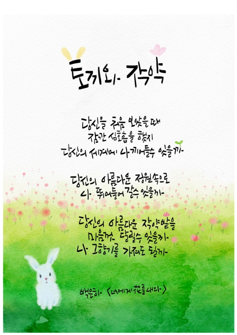 묘약솝 이미지