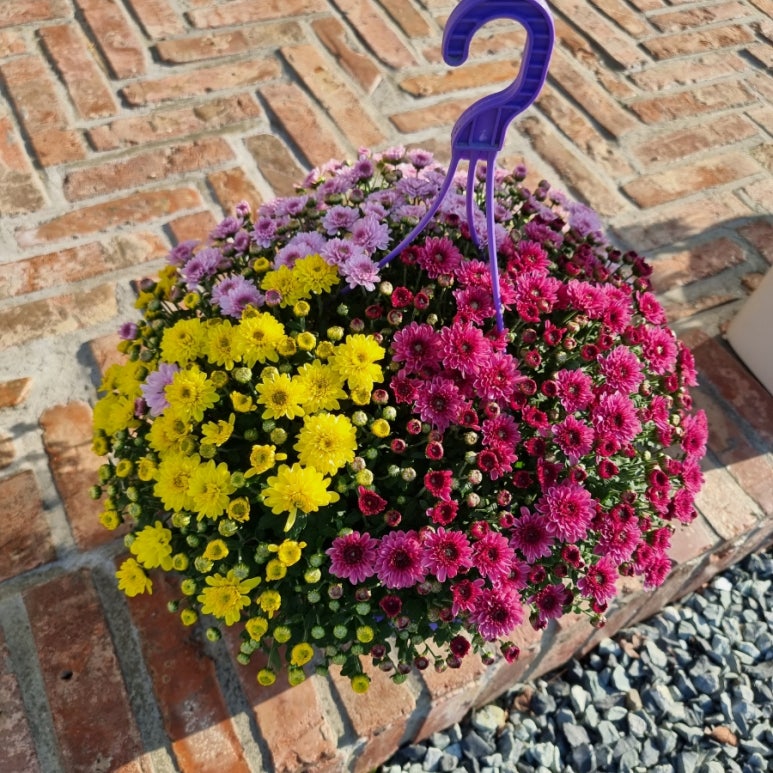 건천다방 이미지