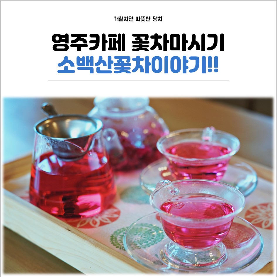 소백산꽃차이야기소풍농원 이미지