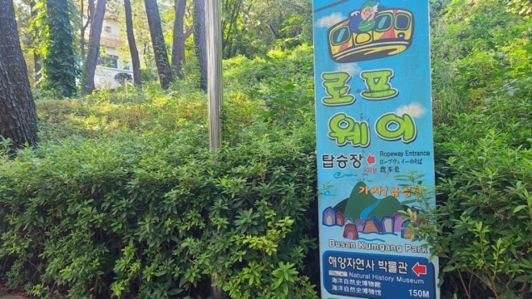 금강카 이미지
