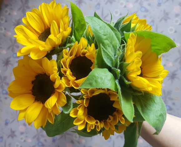 조여사 생각대로 이미지