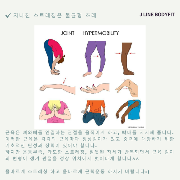 제이라인바디핏바른자세운동 이미지