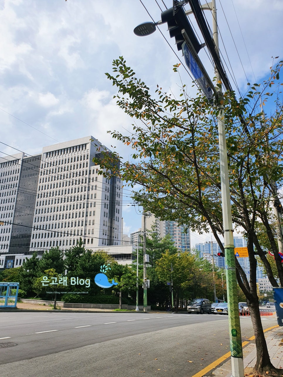 요세미티 경양식 이미지