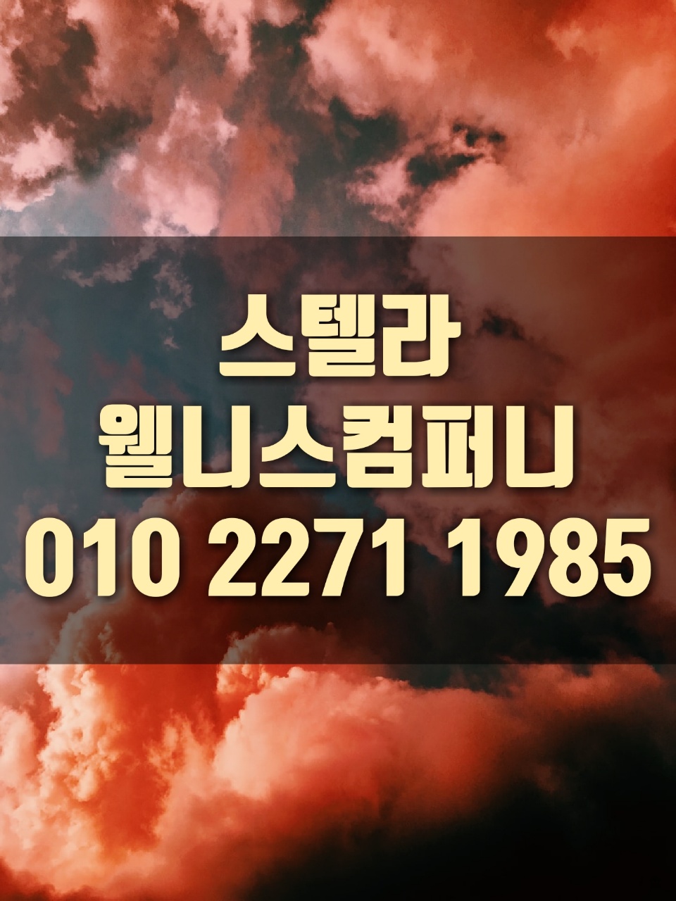 제이엠인터내셔널 이미지