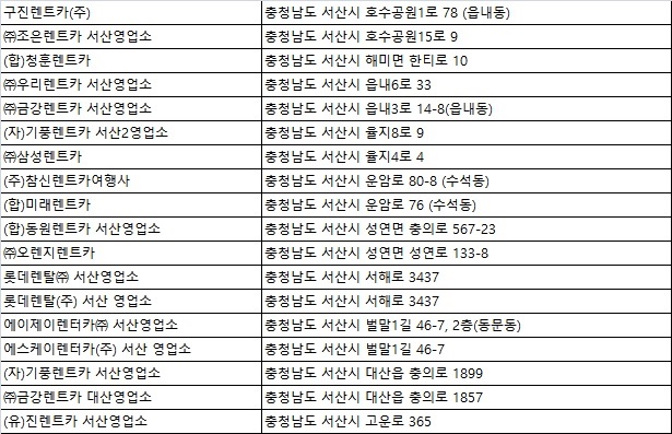 진렌트카유 이미지