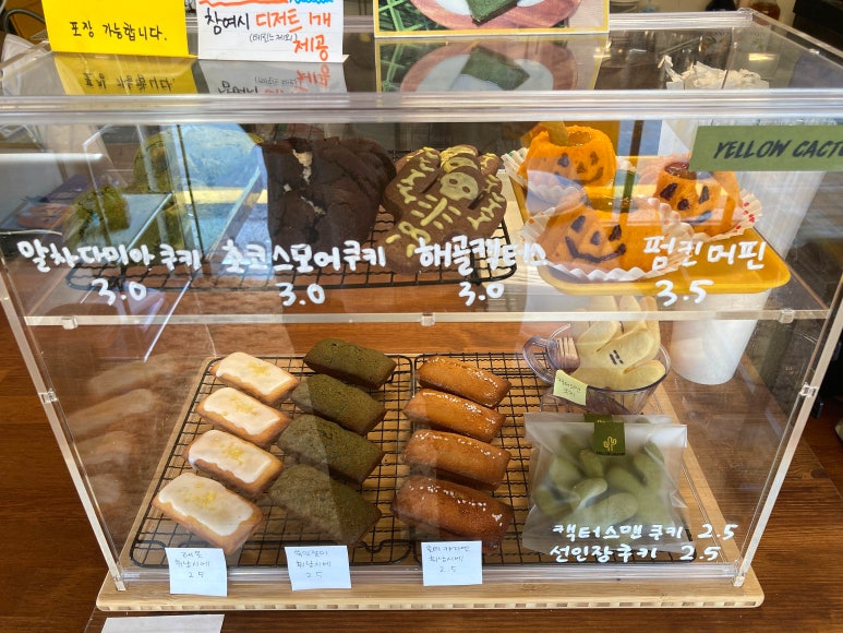 옐로우캑터스yellowcactus 이미지