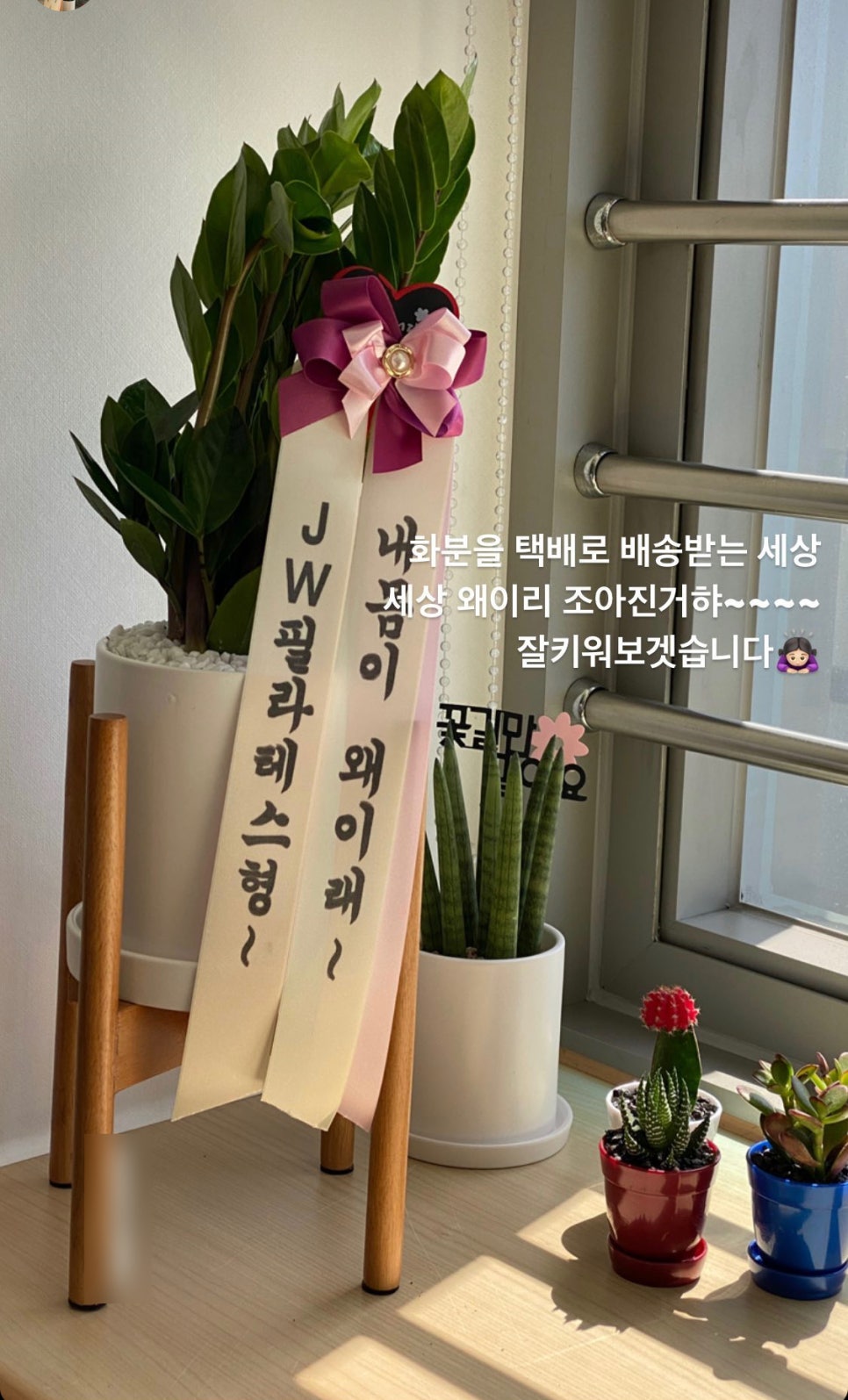 오전꽃농원 이미지