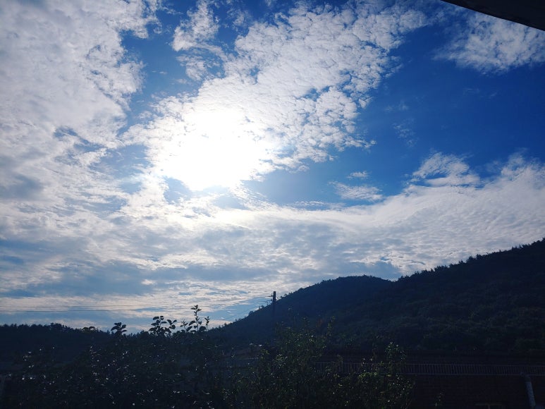 참살이 농산물 이미지