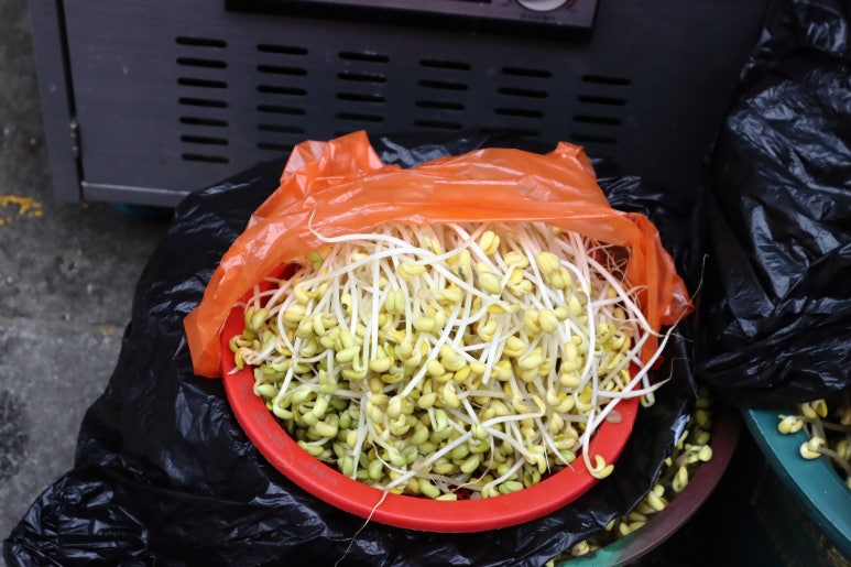 보배김밥 이미지