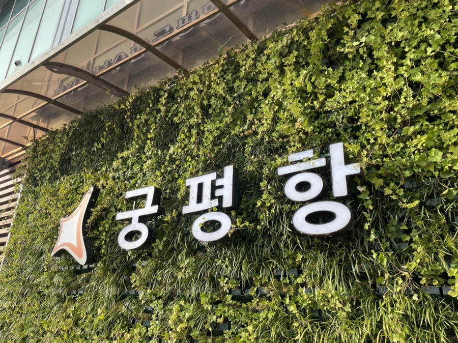 이런칼국수를보았나 이미지