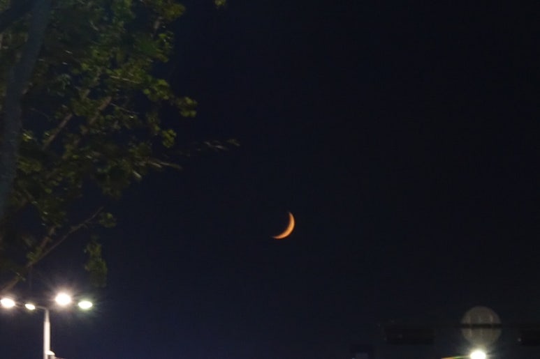 엔보트 이미지