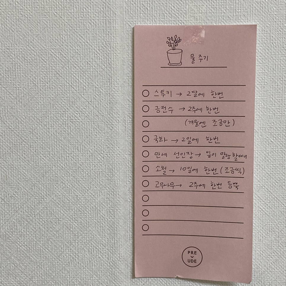 오전꽃농원 이미지